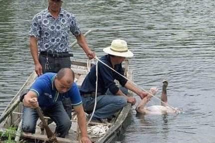 为什么职业捞尸人最怕少女：揭捞尸人三捞三不捞背后