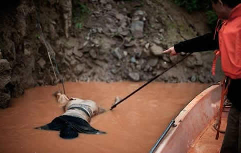 为什么职业捞尸人最怕少女：揭捞尸人三捞三不捞背后