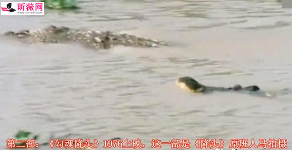 降头电影大全，经典香港十大降头电影（还算精彩）