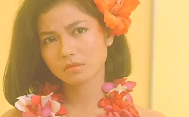 香港20个最漂亮女明星：你喜欢那个（图）