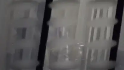 张杰谢娜热吻上热搜 张杰谢娜热吻动态图曝光