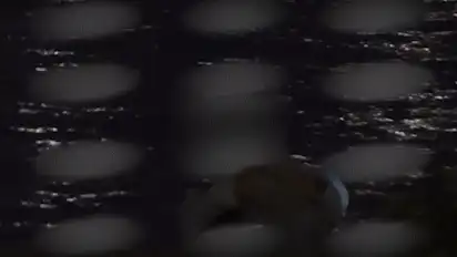 张杰谢娜热吻上热搜 张杰谢娜热吻动态图曝光