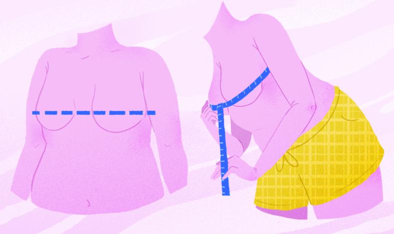 怎么科学的测量胸围的大小（图示）