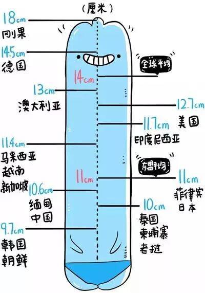 16cm的男生属于什么水平？基本可以横扫亚洲了