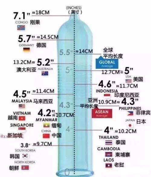 中国18cm的占多大比例
