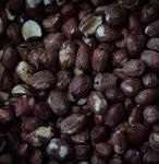 坚果维生素e含量排名：杏仁第一 榛子第二！