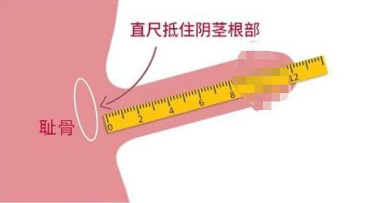 中国男性平均长度是多少?估计打脸了很多人