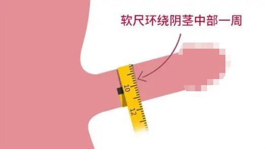 粗度4cm是什么水平?粗度如何测量?