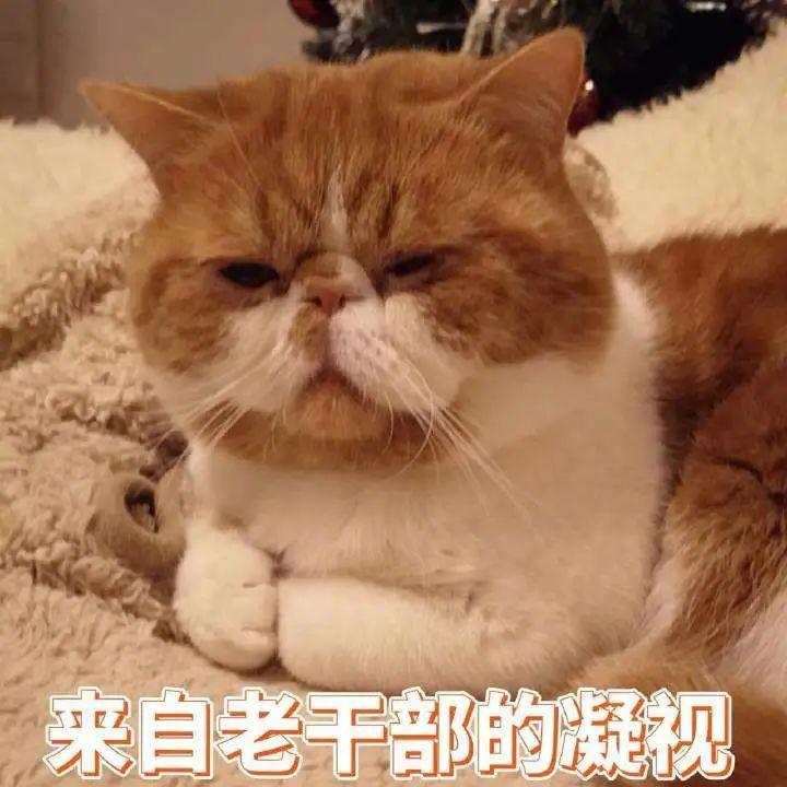 女生都喜欢大的?可能你有什么误解~
