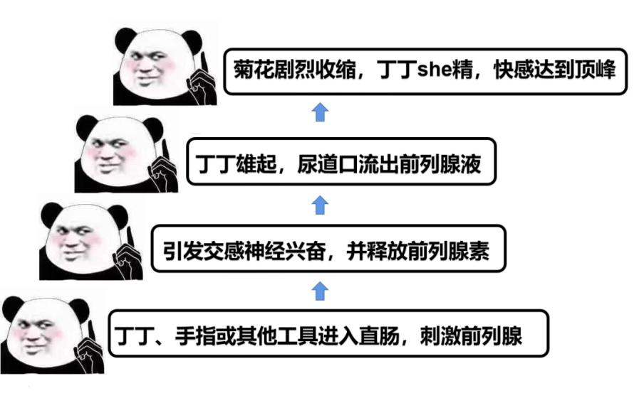 用拉珠是什么感觉？真的有那么爽？
