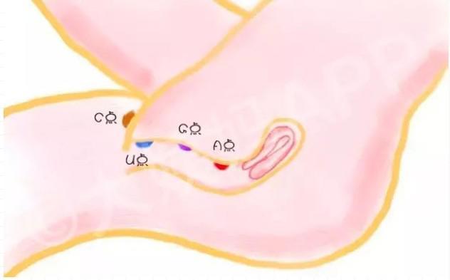 吹拉弹唱”三十六式，到底哪个最适合第一次？